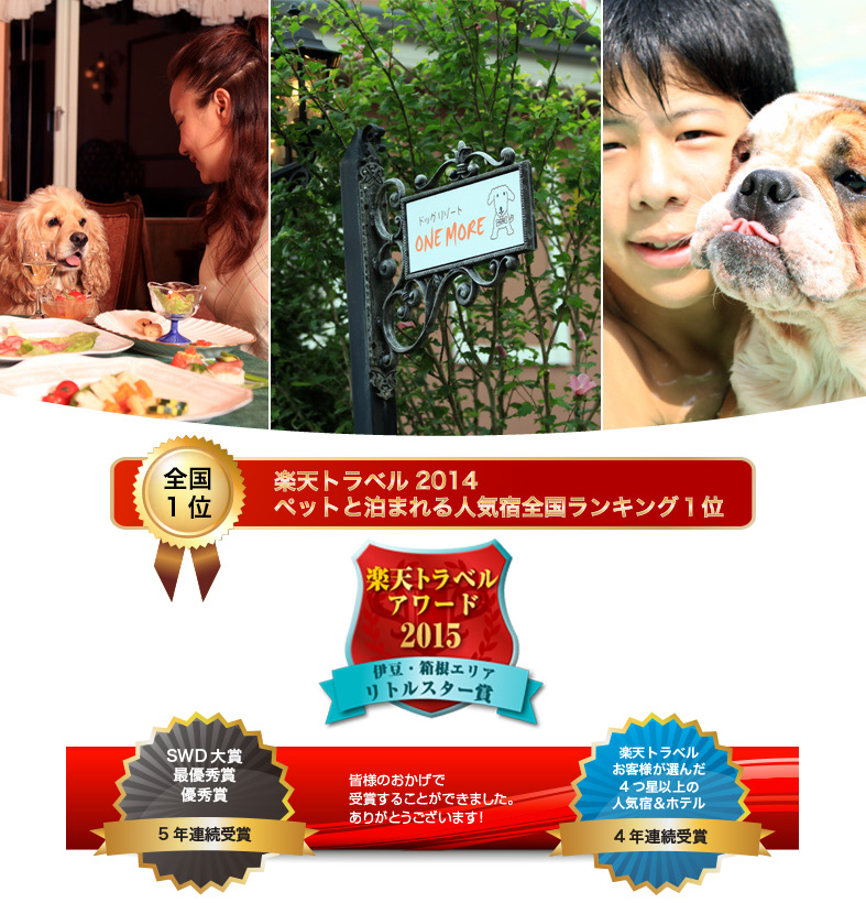 犬と泊まる宿なら伊豆高原のドッグリゾートプチホテル One More